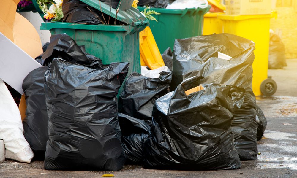 How Growing Cities Are Managing Their Waste